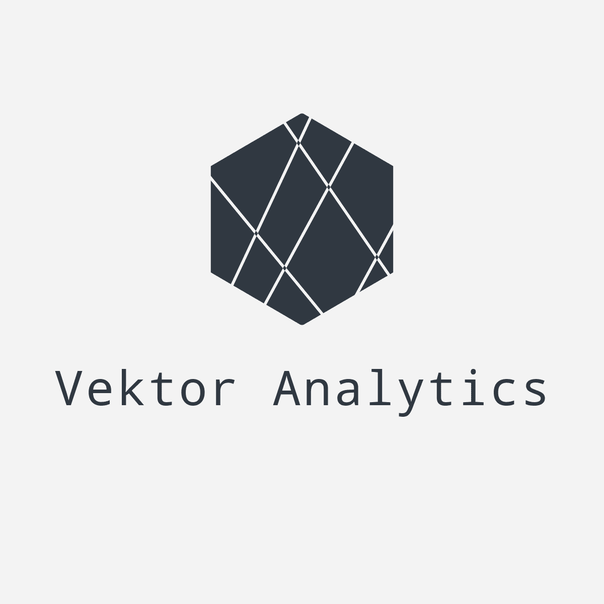 Vektor Analytics