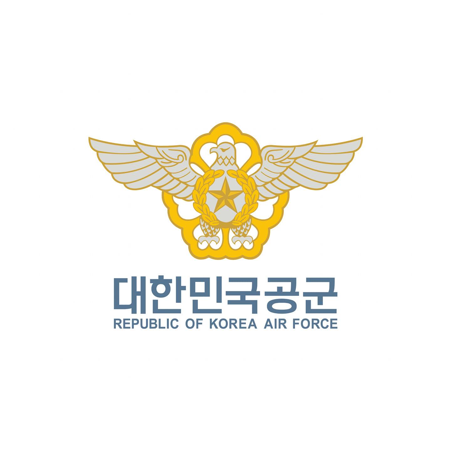 Republic of Korea Air Force