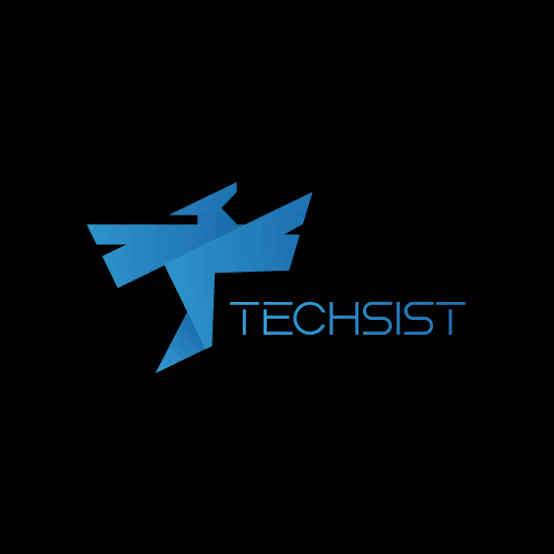 Techsist 